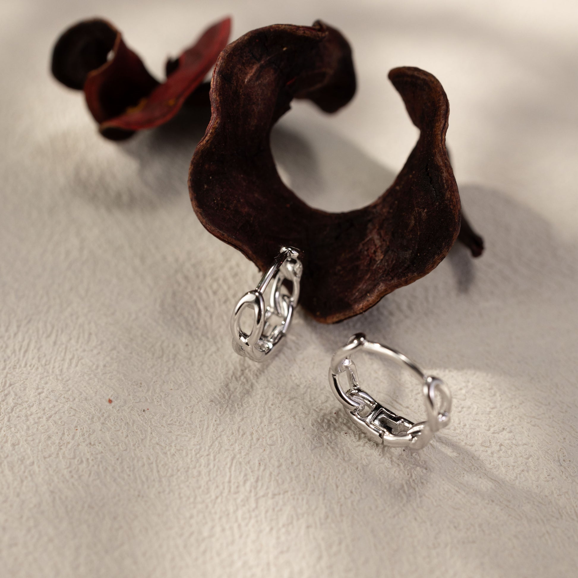 Eva twisted link huggie hoop earrings in white gold vermeil, crafted from solid sterling silver, displayed on a textured neutral surface with natural dried leaves, warm light and soft shadows, modern everyday waterproof jewelry by SILVBREEZE