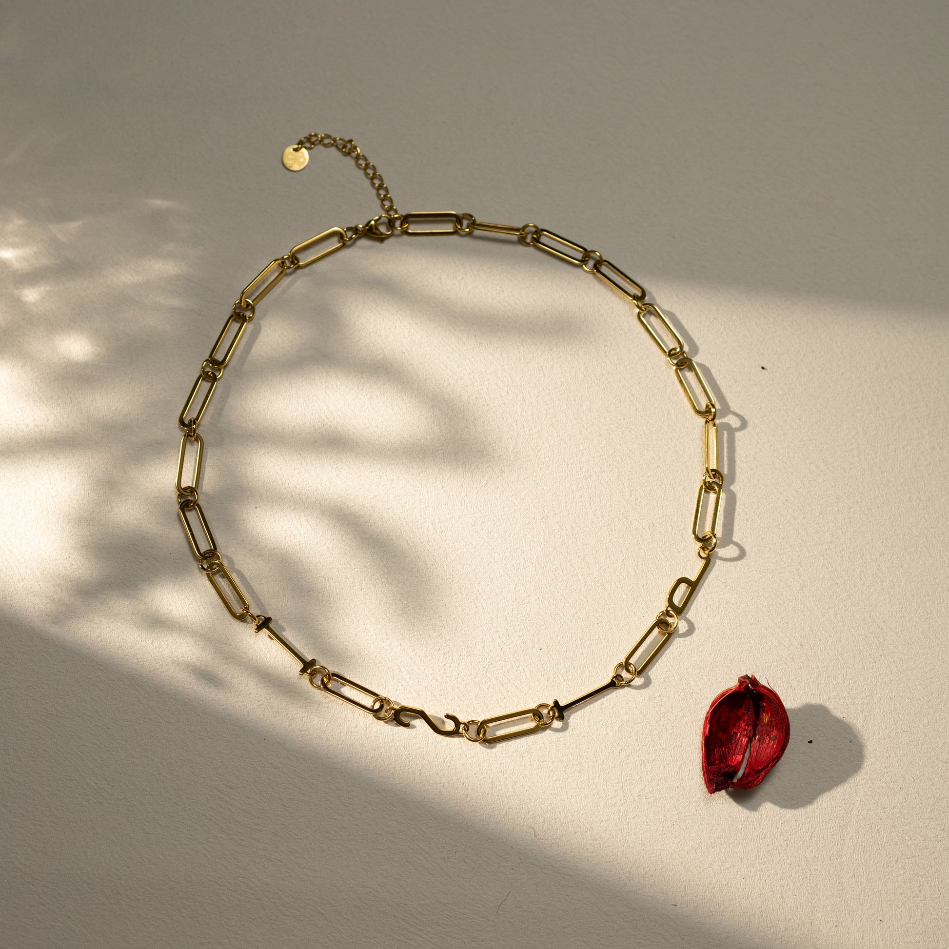 ISTP 18K gold paperclip chain necklace by Silvbreeze, styled in warm natural sunlight with a dried red petal for a minimalist lifestyle flatlay aesthetic.