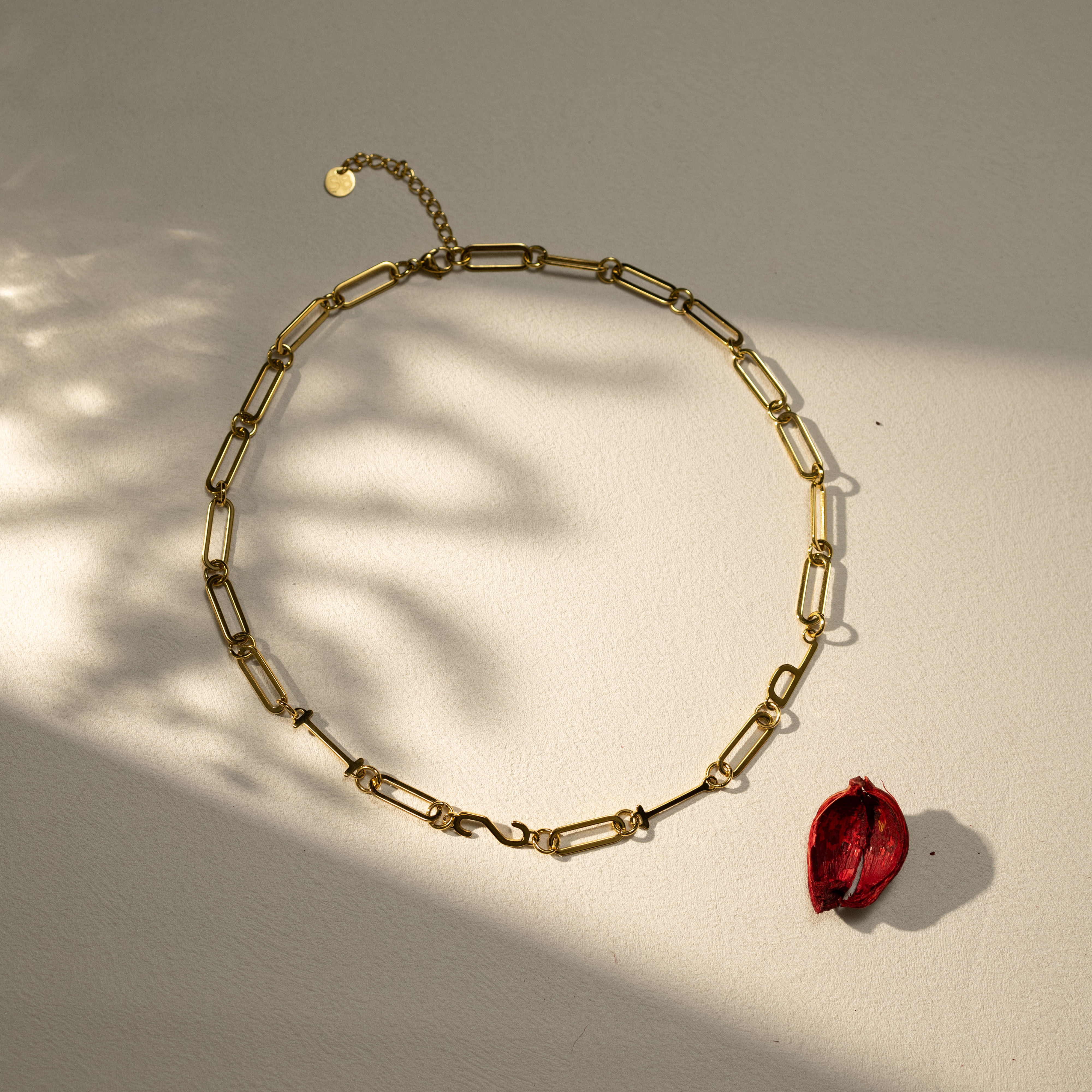 ISTP 18K gold paperclip chain necklace by Silvbreeze, styled in warm natural sunlight with a dried red petal for a minimalist lifestyle flatlay aesthetic.