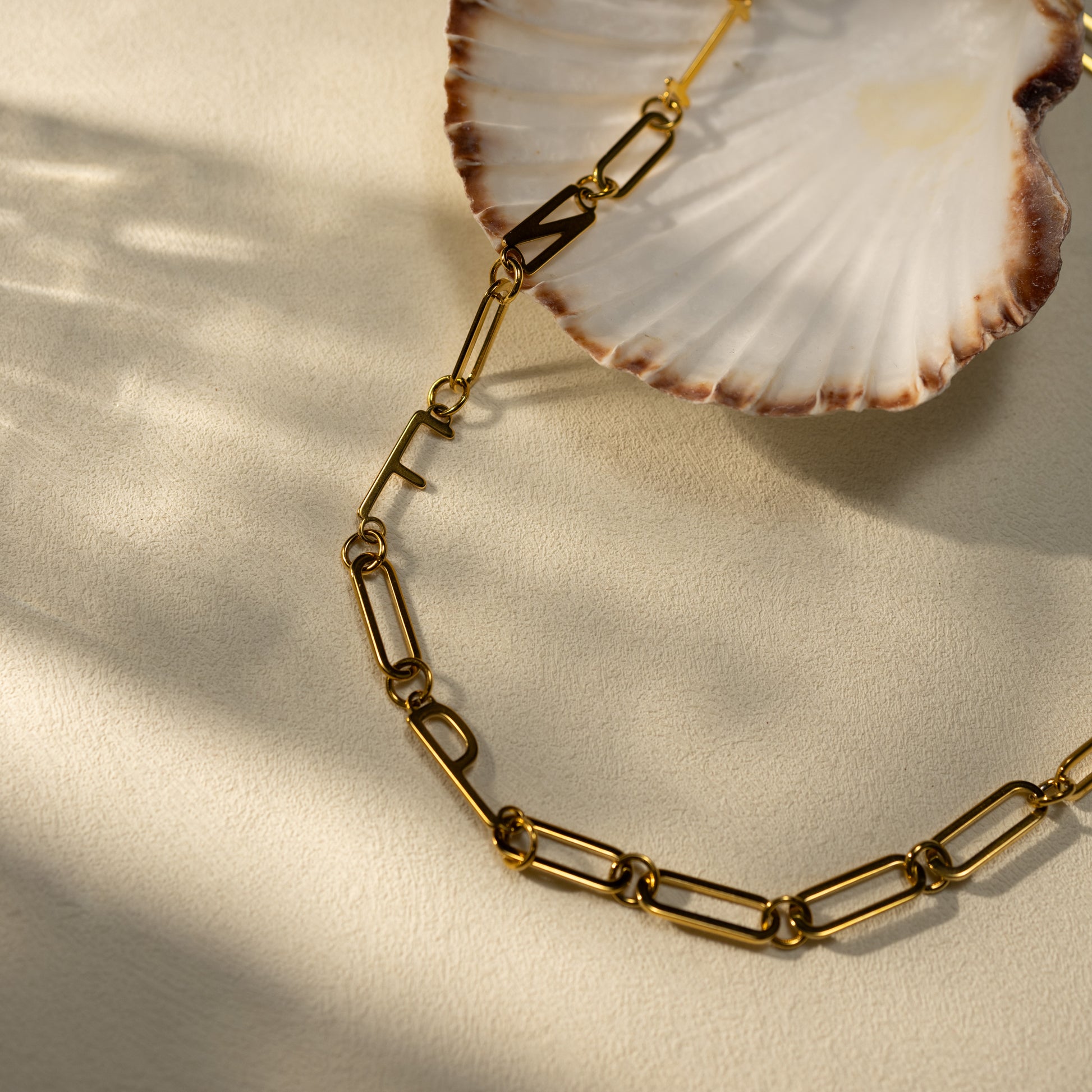INFP 18K gold paperclip chain necklace styled beside a seashell in warm natural light, showcasing minimalist aesthetic jewelry for women and personalized MBTI gift appeal.